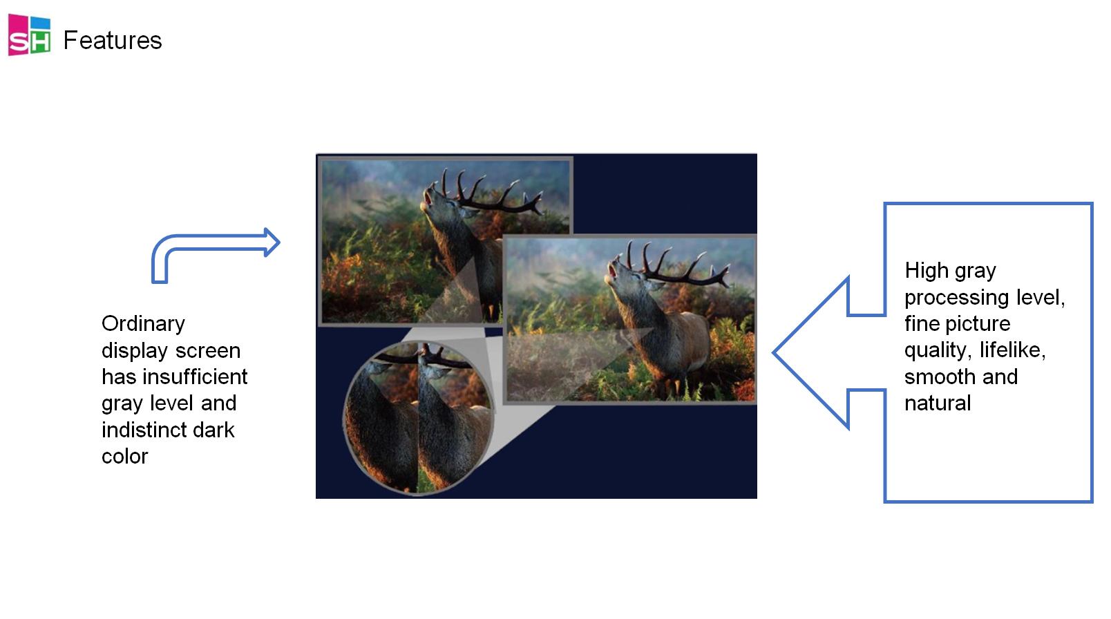 P12.png